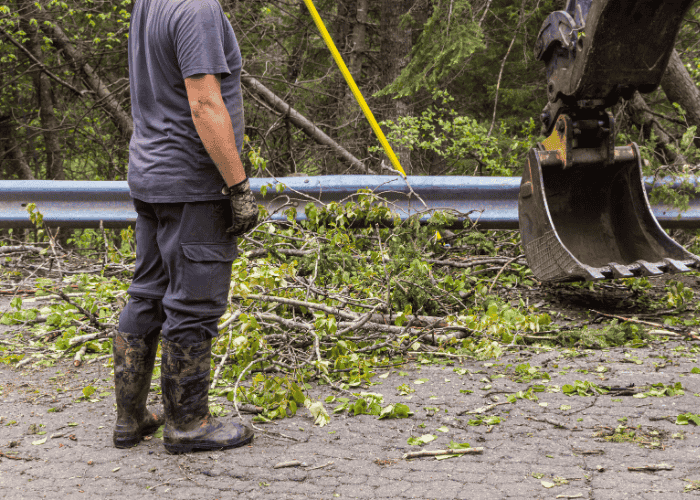 broyage forestier à bayonne