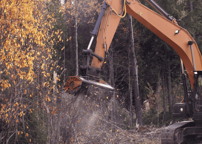 broyage forestier et débroussaillage