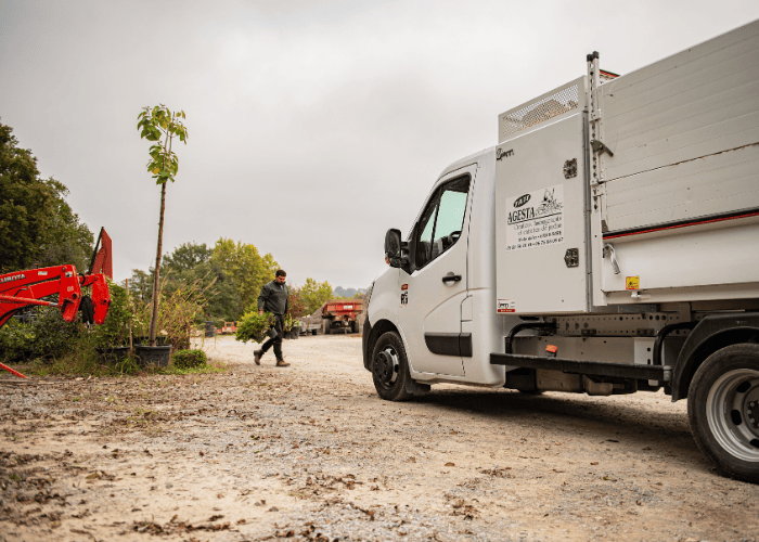 broyage forestier sur la cote basque