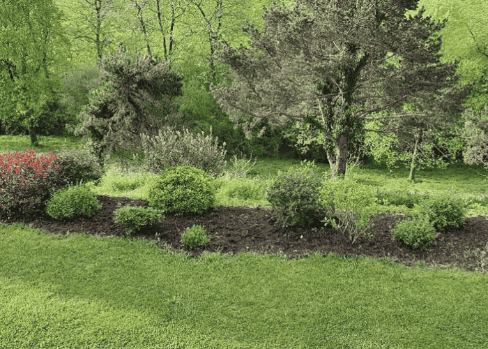 entretien de jardin sur bayonne