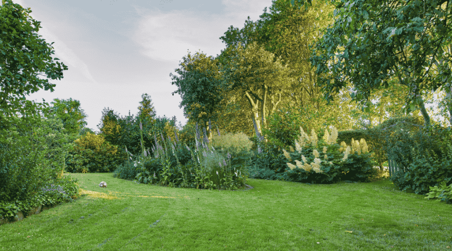 jardin entretenu par un paysagiste dans les landes