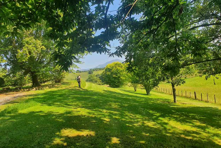 Abattage Ascain, Abattage Cote basque, Abattage Sare, Aménagement extérieur Ascain, Aménagement extérieur Cote basque, Aménagement extérieur Sare, Création de jardin Ascain, Création de jardin Cote basque, Création de jardin Sare, Élagage Ascain, Élagage Cote basque, Élagage Sare, Entretiens Ascain, Entretiens Cote basque, Entretiens Sare, Paysagiste Ascain, Paysagiste Cote basque, Paysagiste Sare