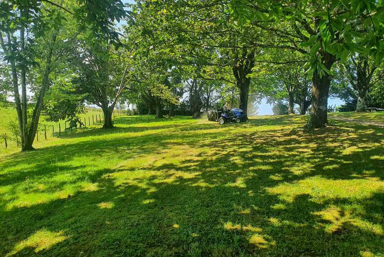 Abattage Ascain, Abattage Cote basque, Abattage Sare, Aménagement extérieur Ascain, Aménagement extérieur Cote basque, Aménagement extérieur Sare, Création de jardin Ascain, Création de jardin Cote basque, Création de jardin Sare, Élagage Ascain, Élagage Cote basque, Élagage Sare, Entretiens Ascain, Entretiens Cote basque, Entretiens Sare, Paysagiste Ascain, Paysagiste Cote basque, Paysagiste Sare